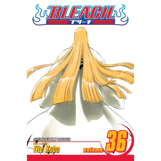 Bleach Vol.36 (EN) Paperback - Графическая новелла (Tite Kubo)