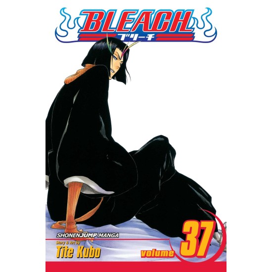 Bleach Vol.37 (EN) Paperback - Графическая новелла (Tite Kubo)