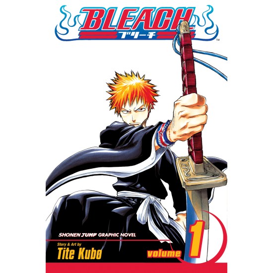 Bleach Vol.1 (EN) Paperback - Графическая новелла (Tite Kubo)