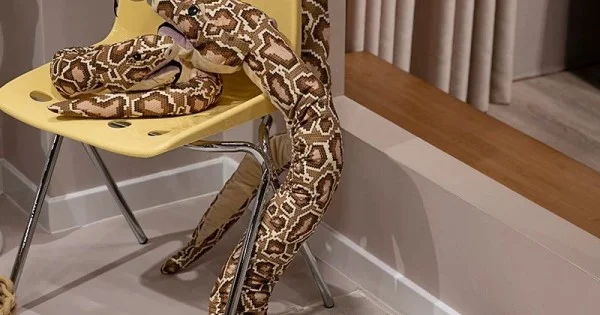 Python Soft Toy 160 cm - Pitons - Mīkstā rotaļlieta